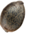 Grizz2o4