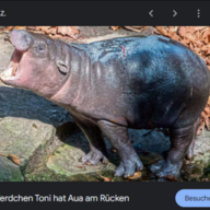 Ziegenbos